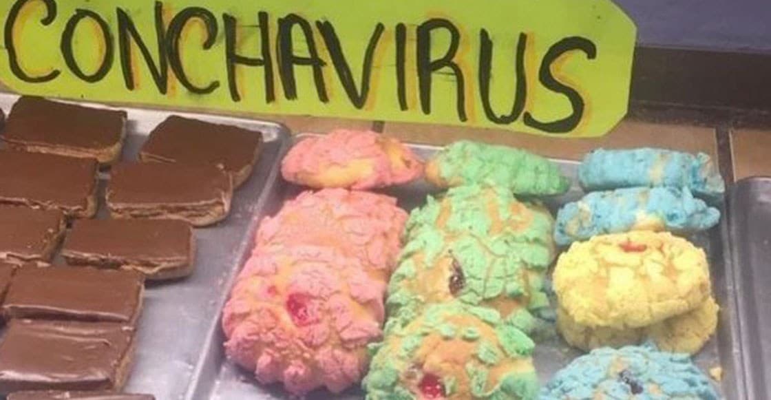 México mágico: Surgen las 'conchavirus' y se viralizan