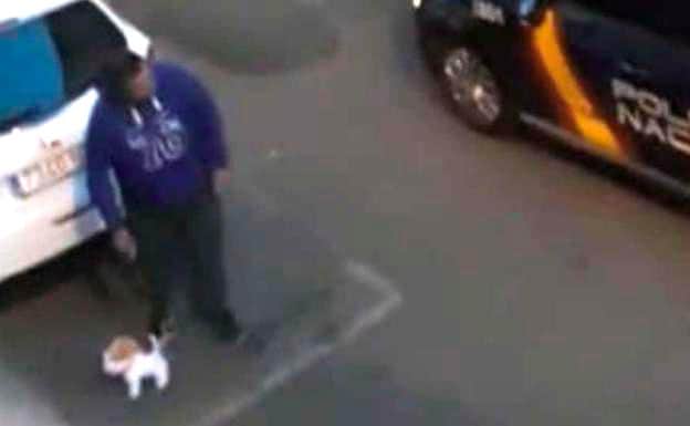 Video: En plena cuarentena sujeto saca a pasear a su perro... de peluche