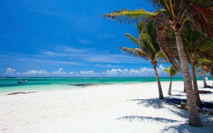 Clima: Soleado con cielo medio nublado