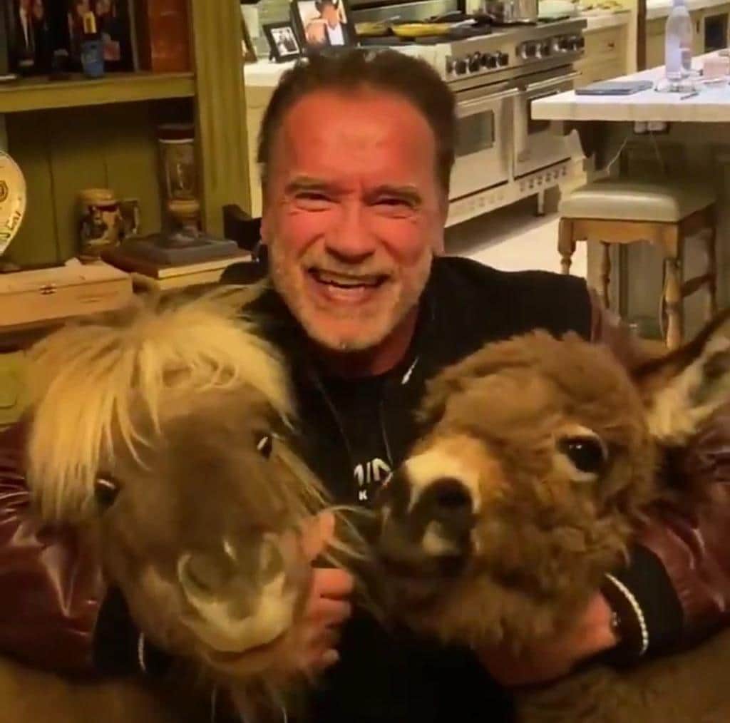Video: Schwarzenegger llama a no salir de casa, por coronavirus