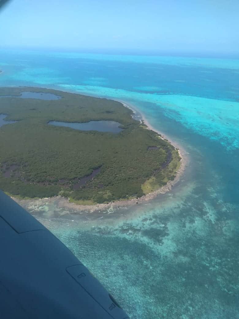 Sargazo en Xcalak y Mahahual es el remanente de la desatención en 2015