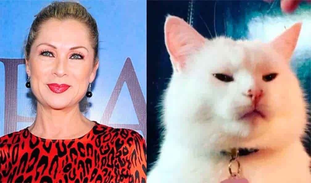 Bautizan en redes a la actriz Leticia Calderón como #LadyMataGatos