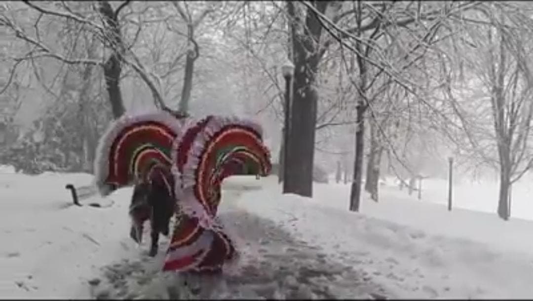 Video: Mexicanos bailan el Son de la Negra bajo la nieve de Montreal