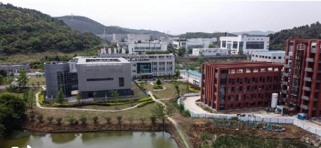 Niega laboratorio de Wuhan que coronavirus haya salido de sus instalaciones