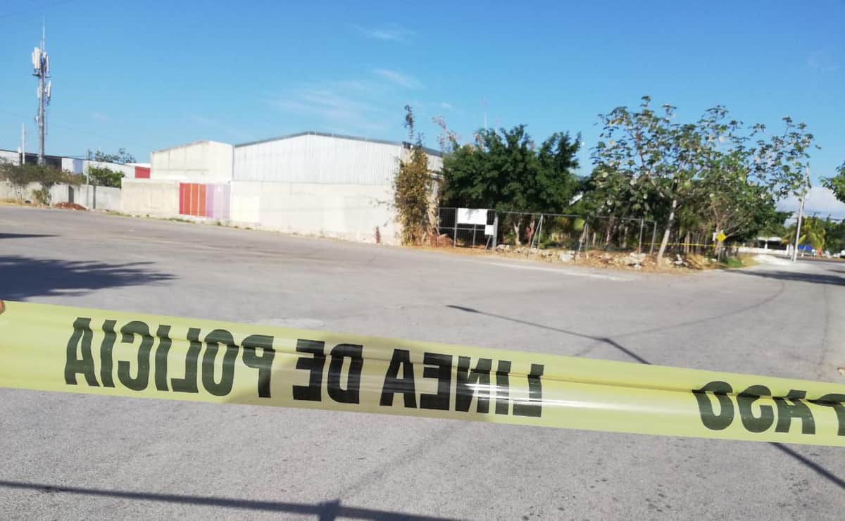 Mujer se suicida en predio baldío de Playa del Carmen