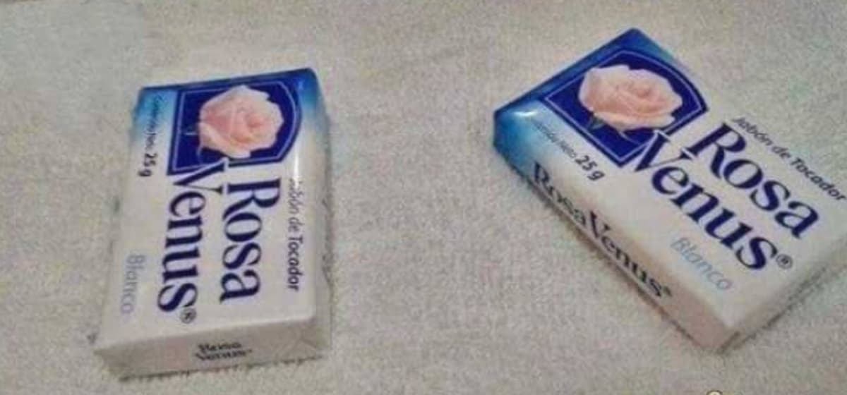 Entérate por qué Suecia y Rosa Venus han sido tendencia en redes