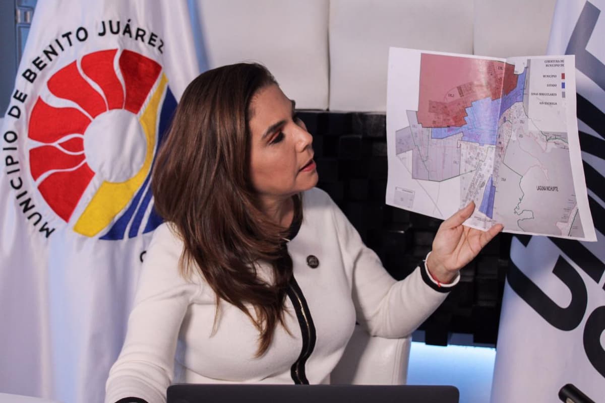 Por primera vez en 10 años eclosionan tortugas Laúd en Cancún: Mara Lezama