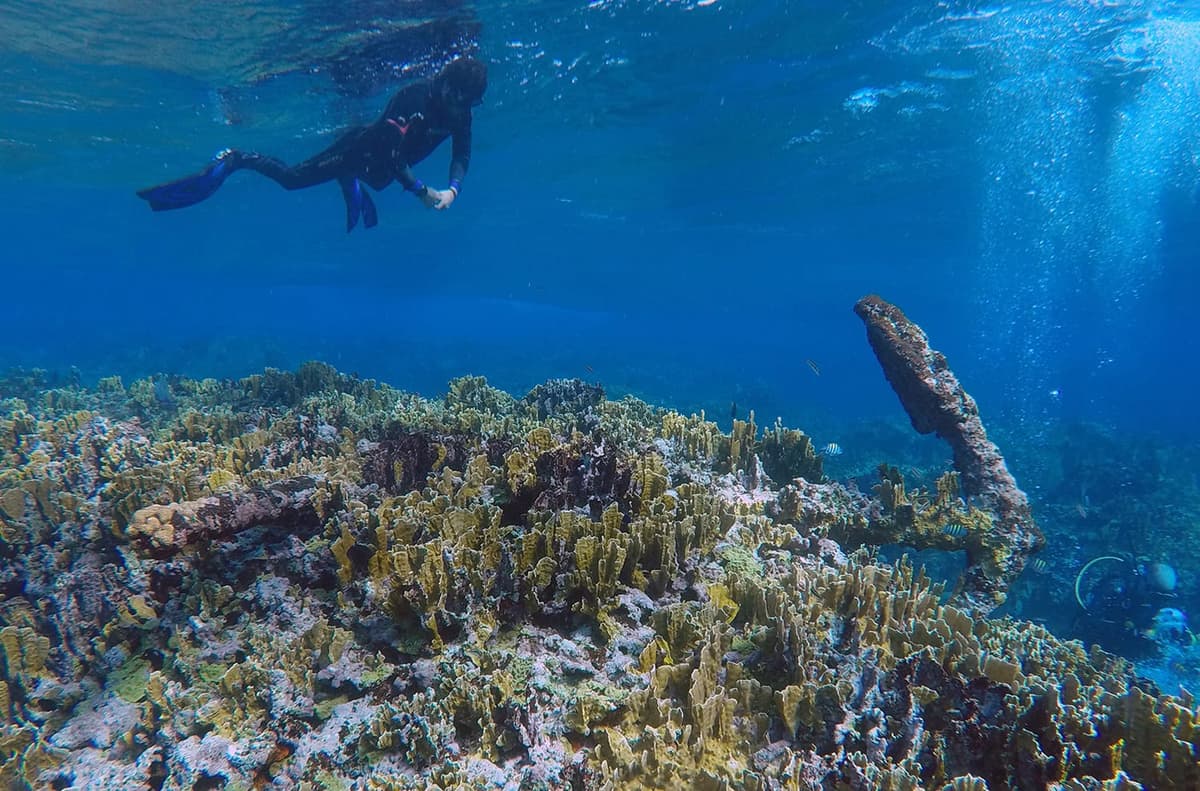 Encuentran barco hundido más de 200 años en aguas de Quintana Roo