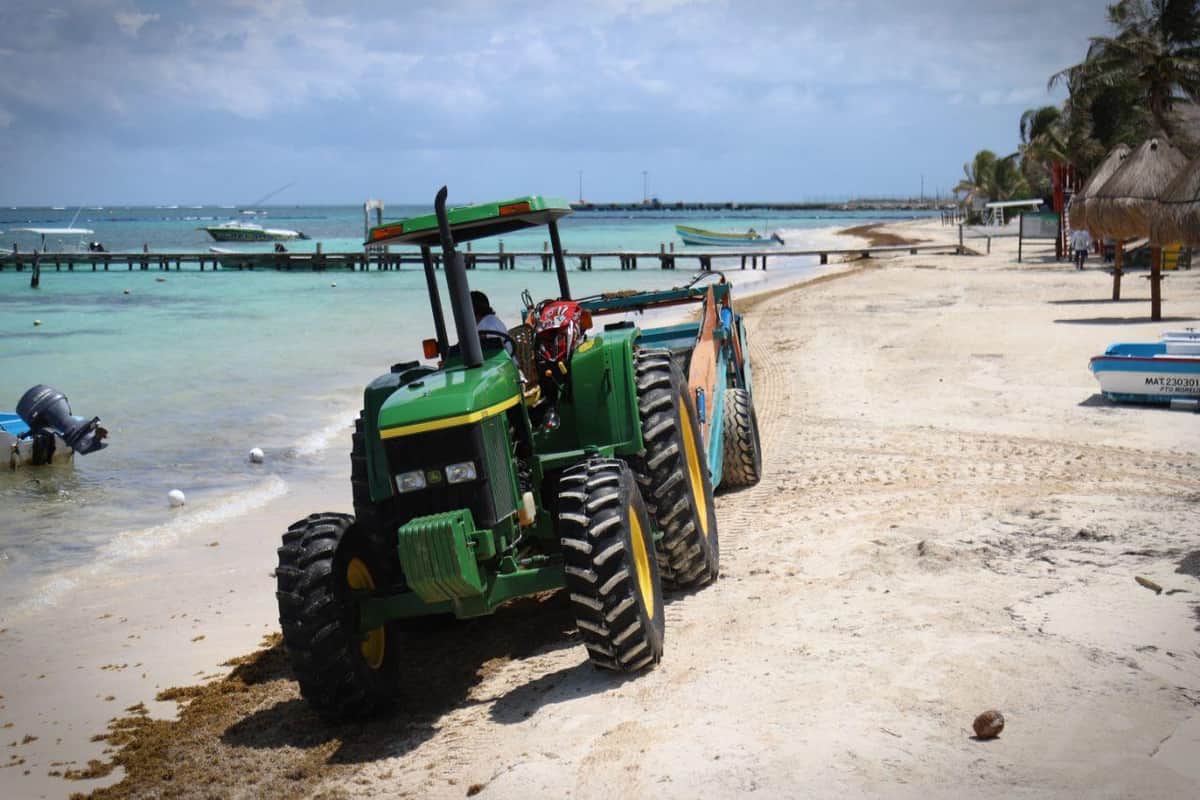 Trabajan para mantener las playas de Puerto Morelos libres de sargazo