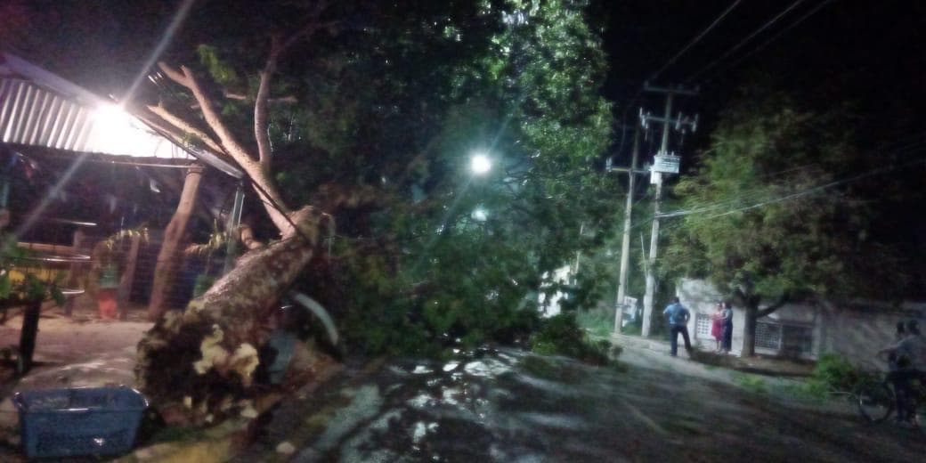 Galería: Estos fueron los destrozos ocasionados por la turbonada en Puerto Aventuras