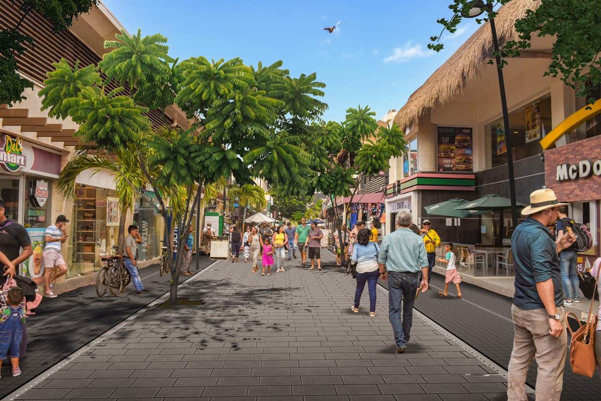 Sembrar 450 árboles adultos en la Quinta Avenida, parte de la remodelación