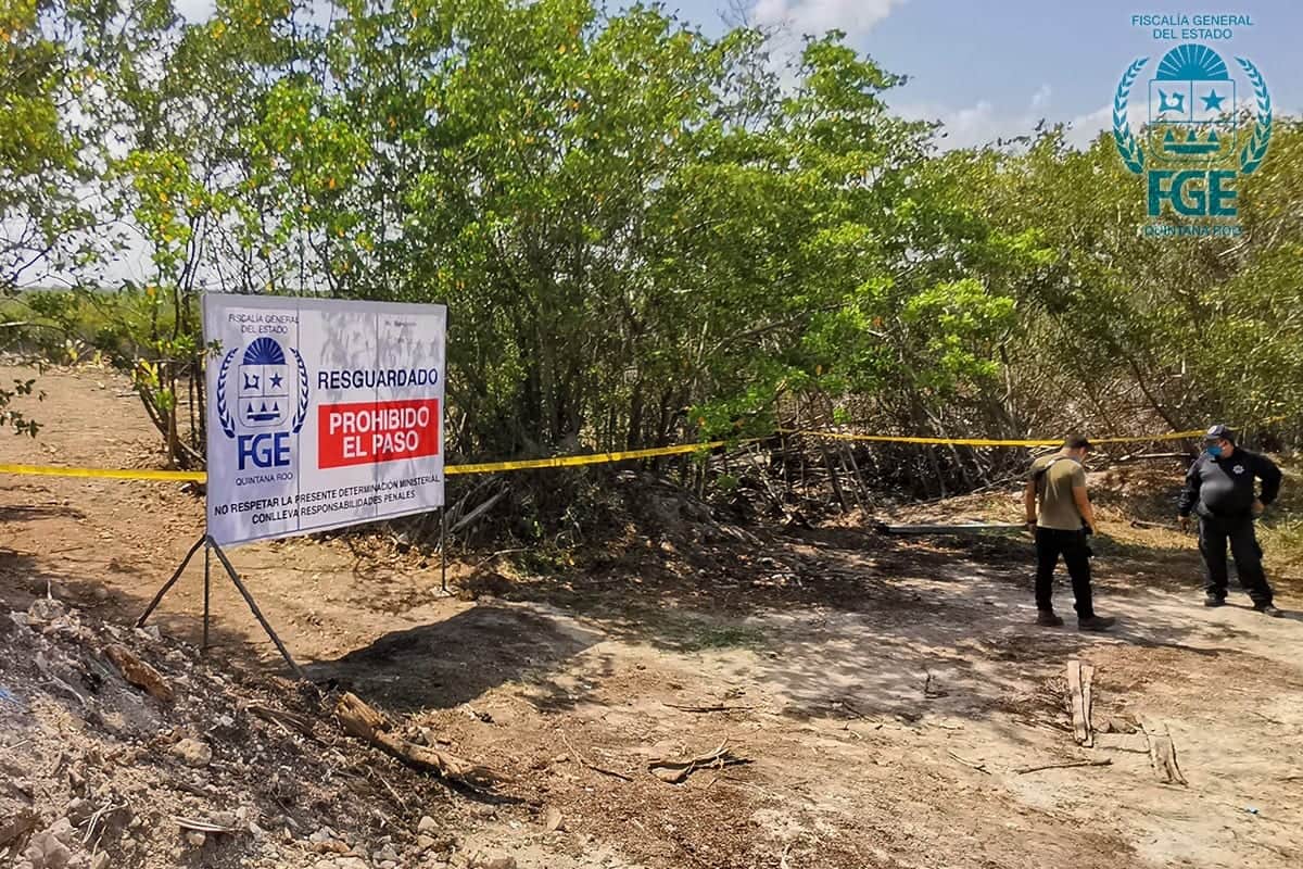 Resguarda Fiscalía de Quintana Roo la zona de manglar afectada en Mahahual