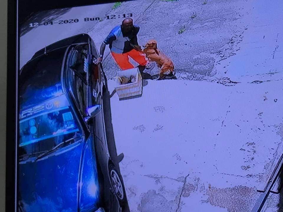 Perrita enferma se aferra a su dueño antes de ser abandonada con sus cachorros