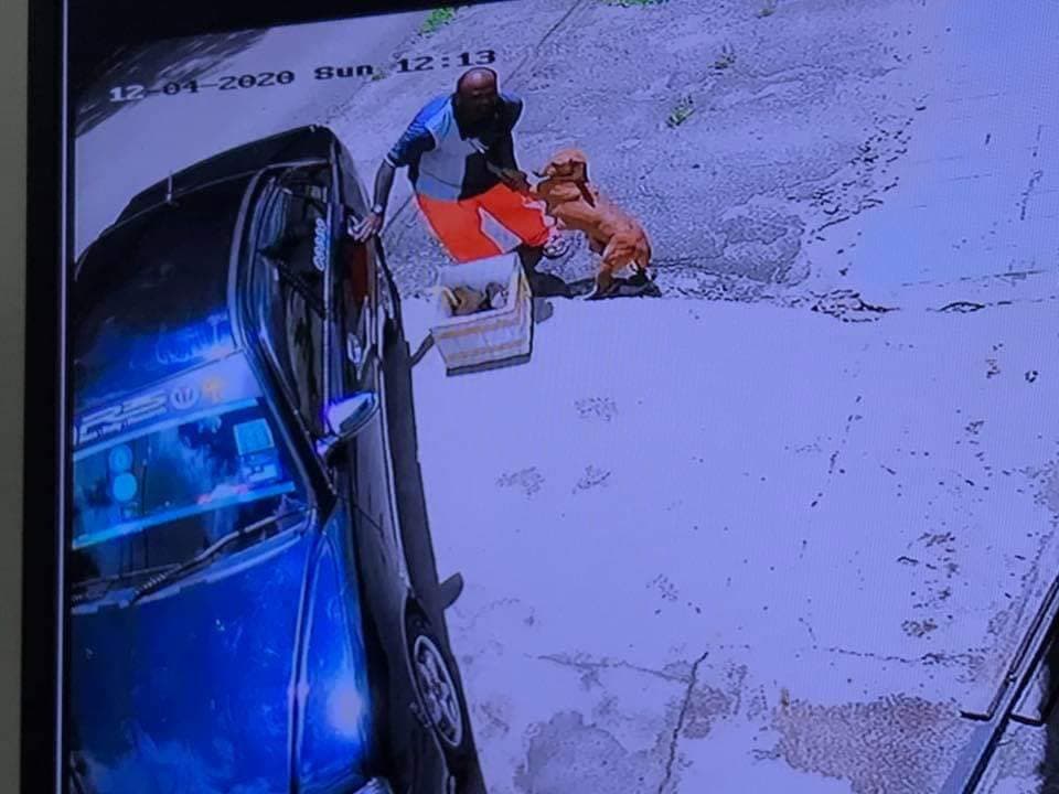 Perrita enferma se aferra a su dueño antes de ser abandonada con sus cachorros