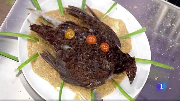 Video: Escandaliza platillo de pájaro muerto con plumas en ‘MasterChef’