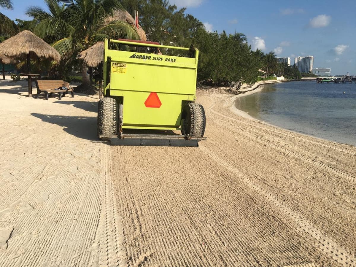 Prepara Cancún estrategias para combatir el sargazo