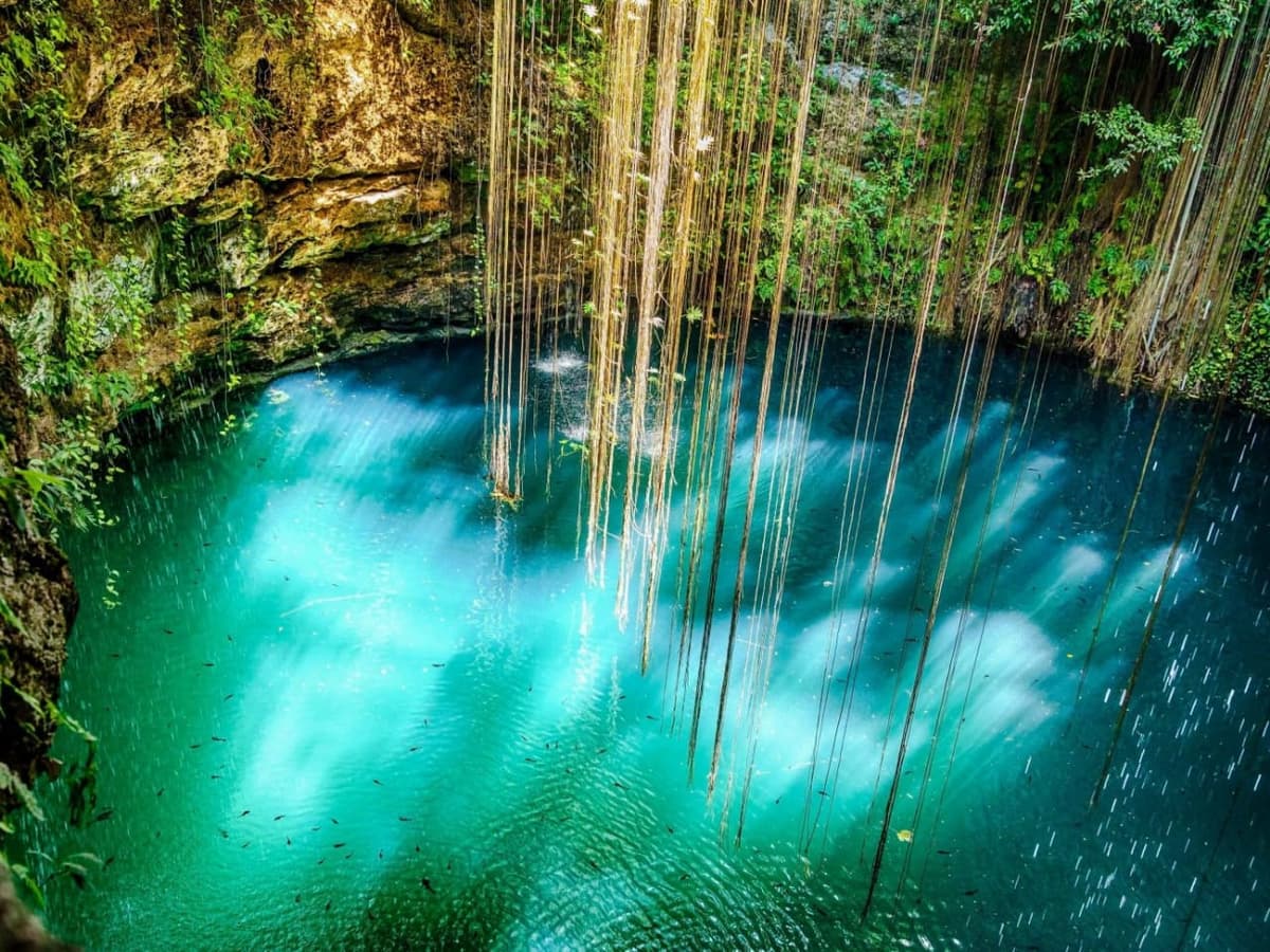 Presentan iniciativa para proteger los cenotes de Quintana Roo y Yucatán
