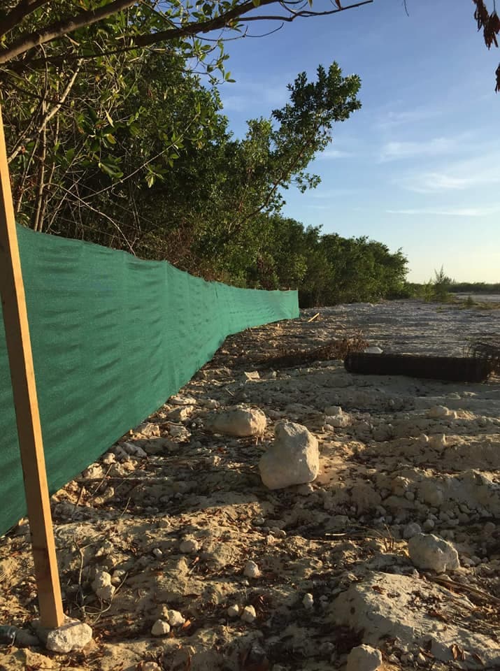 Violan cuarentena obras de hoteles en Quintana Roo señalados de "ecocidas"