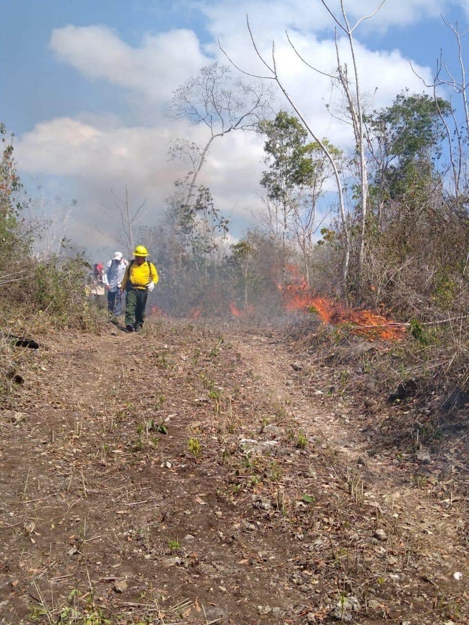 Incendios amenazan zonas arqueológicas de Quintana Roo