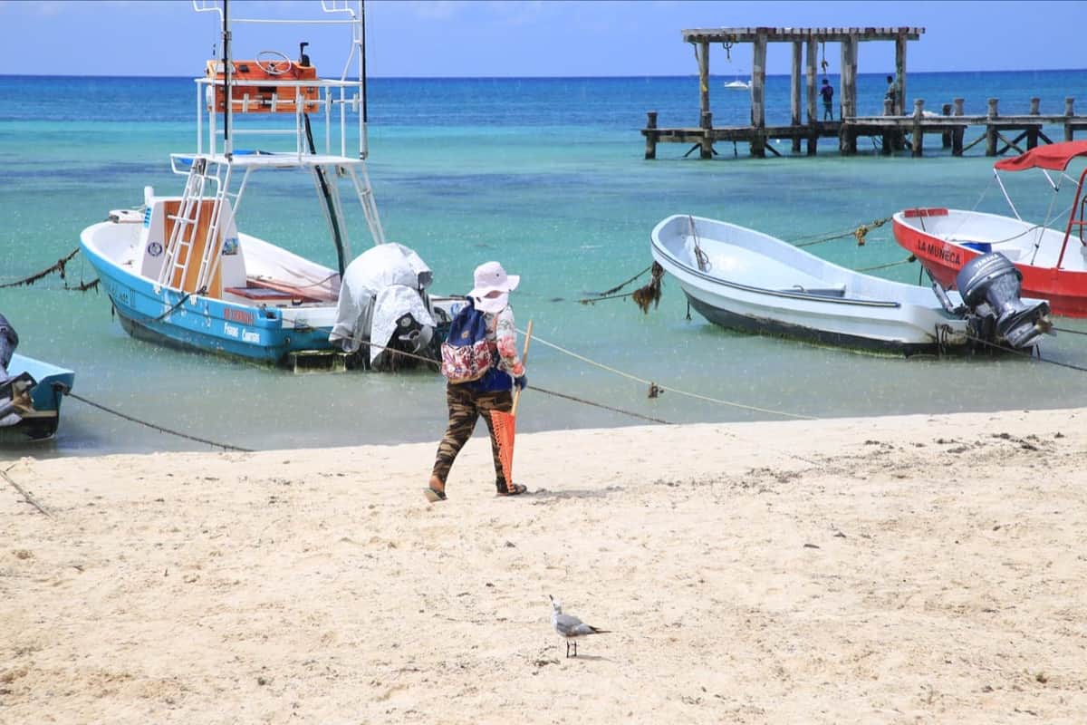 Atención al sargazo en Solidaridad es del 90%