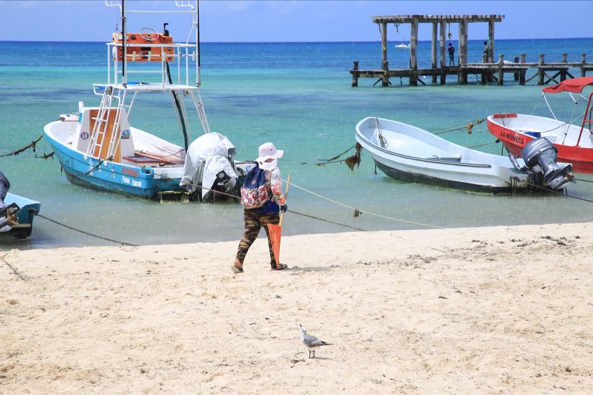 Atención al sargazo en Solidaridad es del 90%