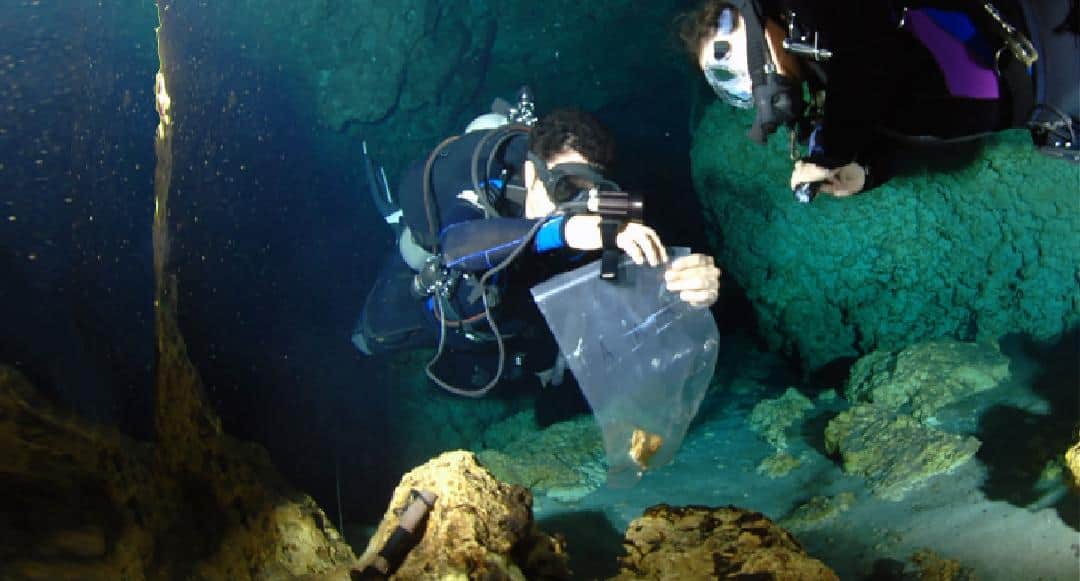 Cenotes en riesgo por Tren Maya; deben mapearse para su conservación