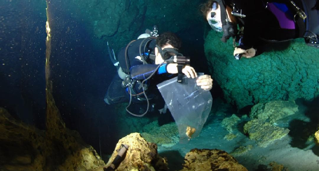 Cenotes en riesgo por Tren Maya; deben mapearse para su conservación