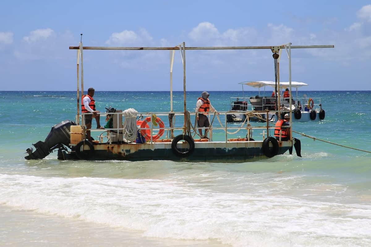 Recogen embarcaciones el sargazo en las playas de Solidaridad