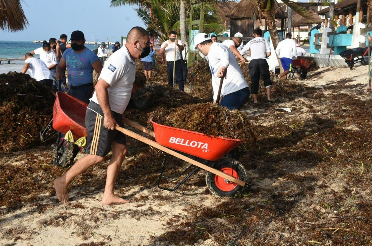 Con trabajo en equipo se retiran 200 toneladas de sargazo: Laura Fernández