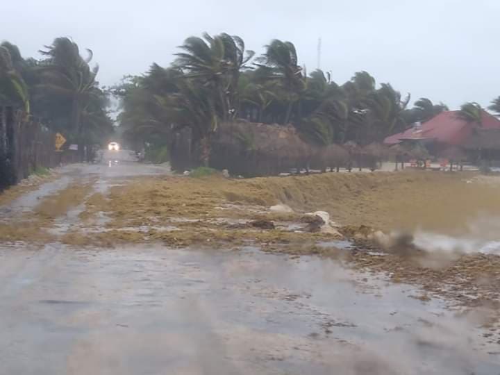 Día apocalíptico en Quintana Roo: sargazo, lluvias torrenciales, pandemia y violencia