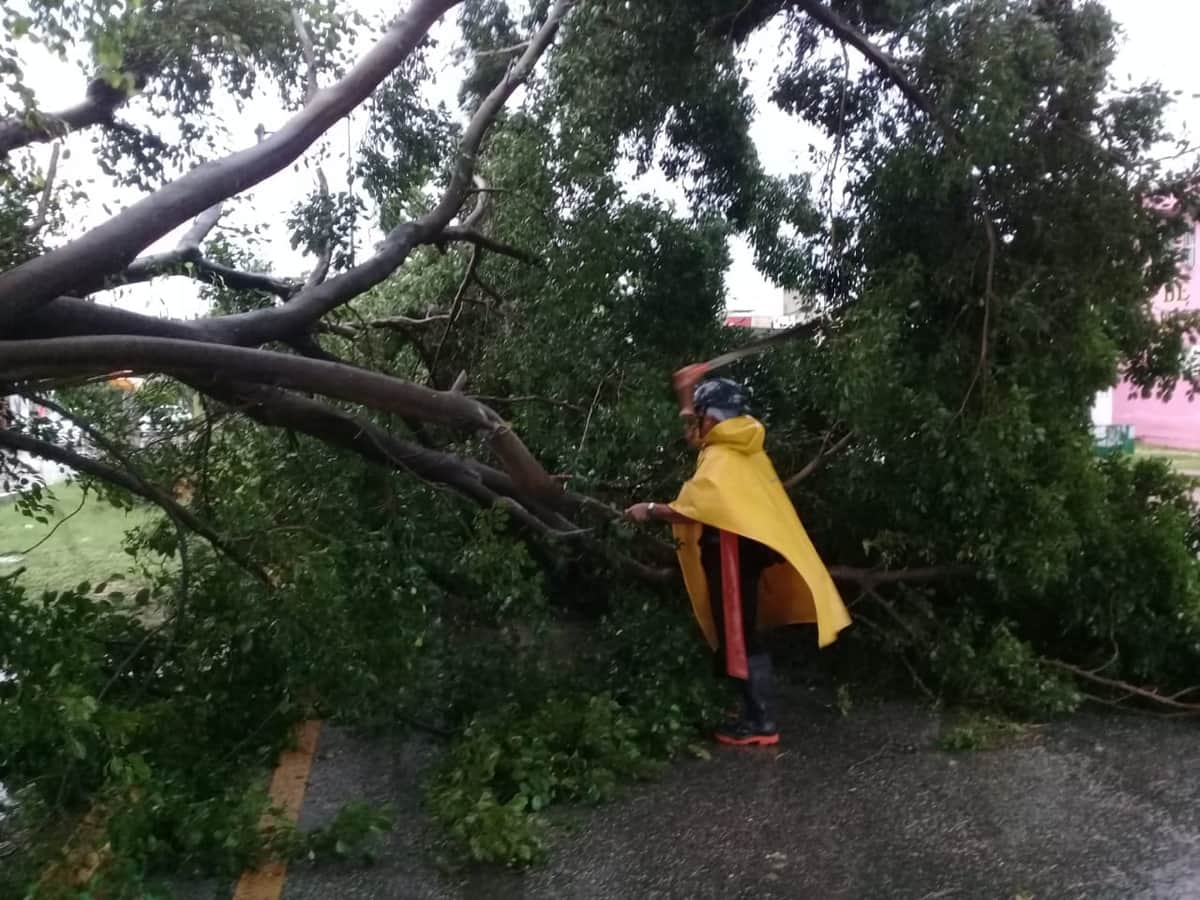 Atienden daños que dejó la Tormenta tropical "Cristóbal" en su paso por Playa del Carmen