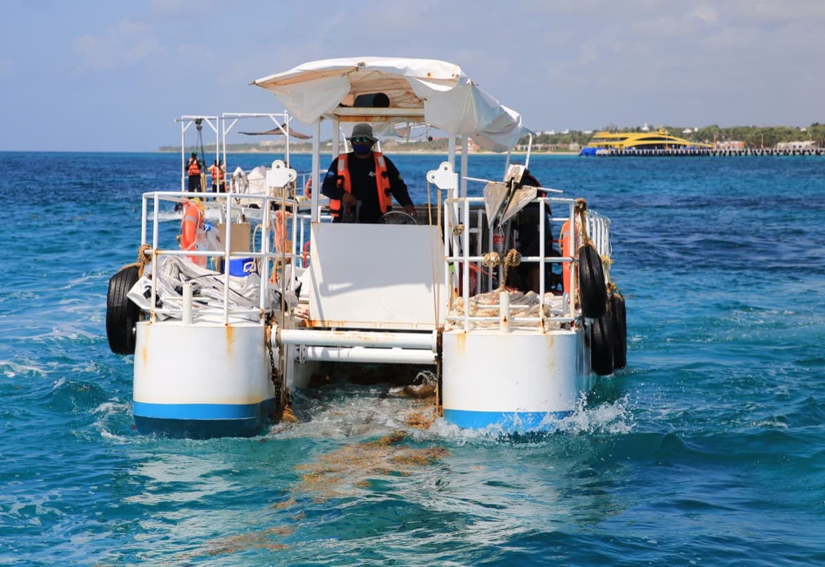 Playa del Carmen mantiene costas limpias con barrera de contención de sargazo