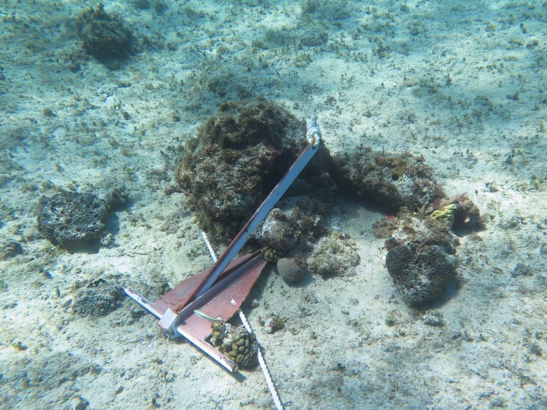 ¡Anclan estructuras de muelle en corales de Cozumel! y el Ayuntamiento no hace nada