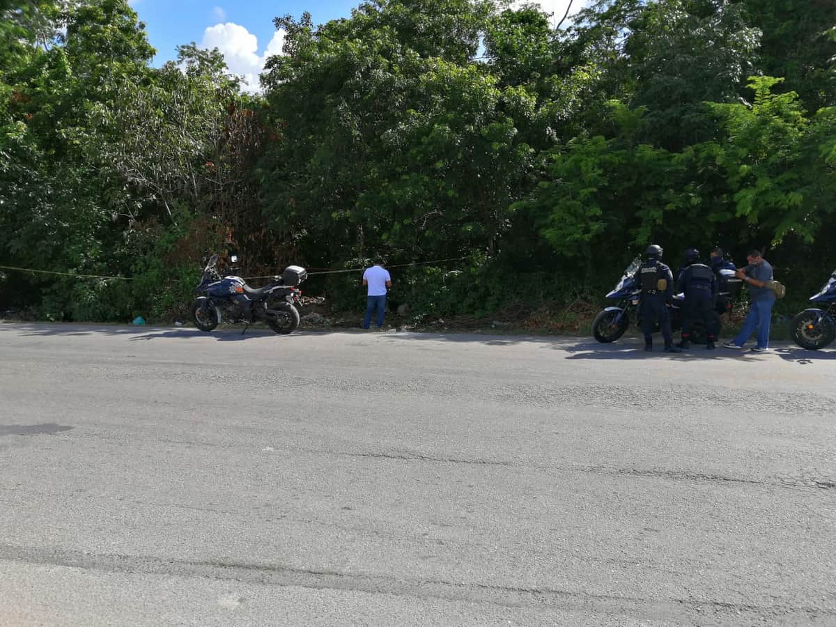 Encuentran un cuerpo putrefacto en la colonia Bellavista de Playa del Carmen