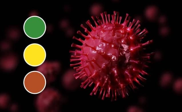 No te confundas: En Quintana Roo, rige el semáforo estatal