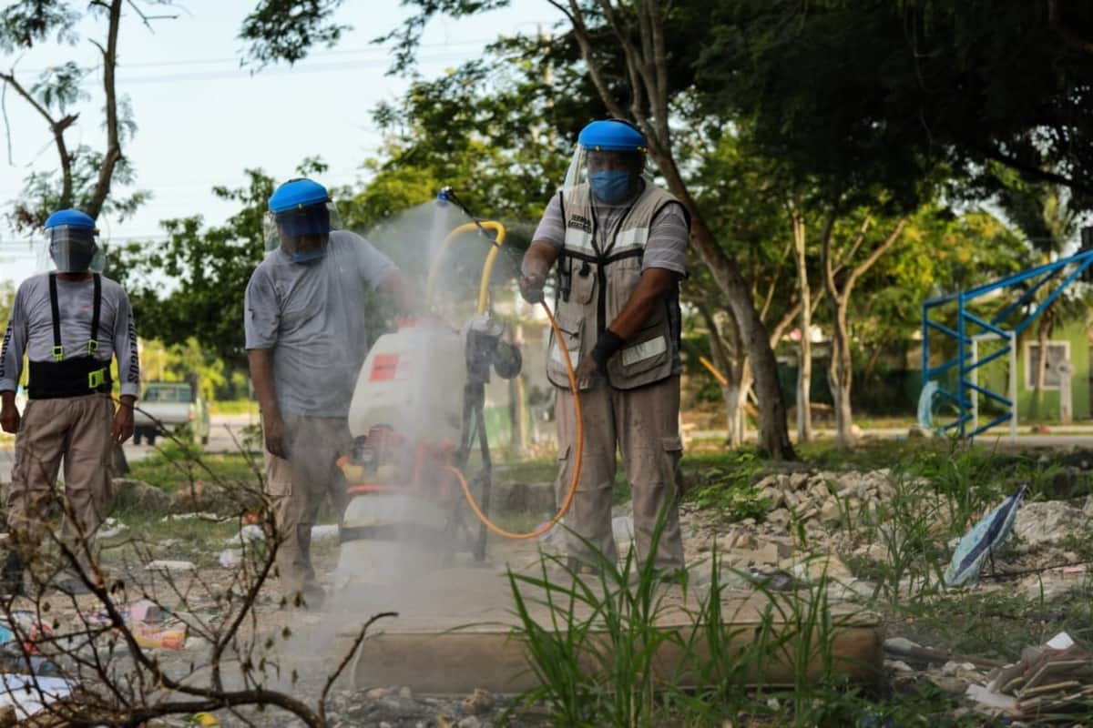 Se recolectaron más de 32 toneladas de cacharros en Cancún y vamos por más: Mara Lezama