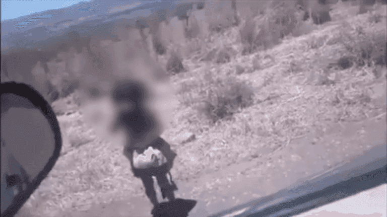 Abandonan a una niña de 5 años en una carretera en México