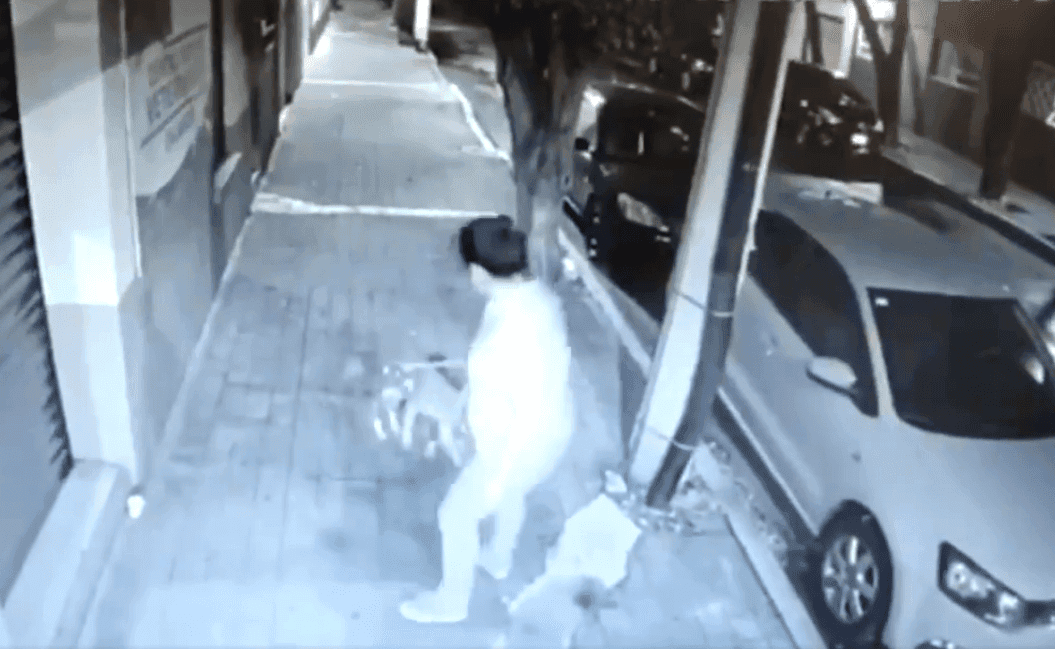 Video: Mujer da jalones y abandona a perritos en la Ciudad de México