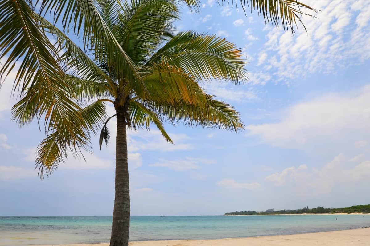 Obtiene Playa del Carmen certificación global como destino turístico seguro