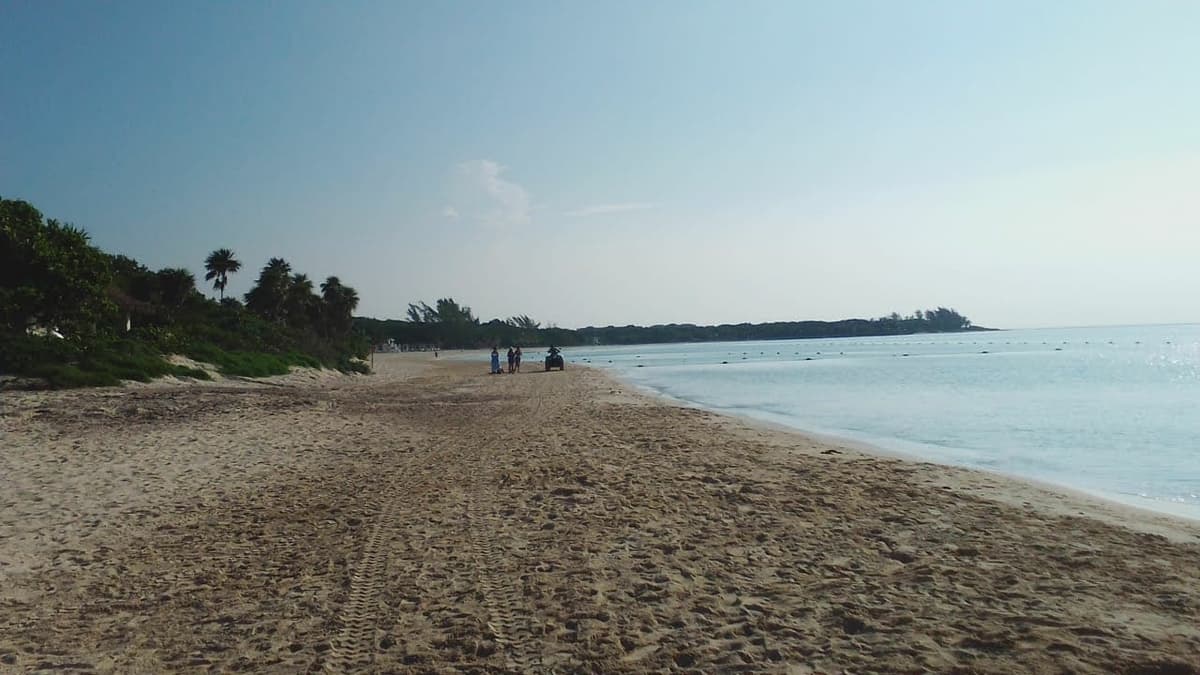 Hasta 500 bañistas podrán ingresar por sitio en la reapertura de playas