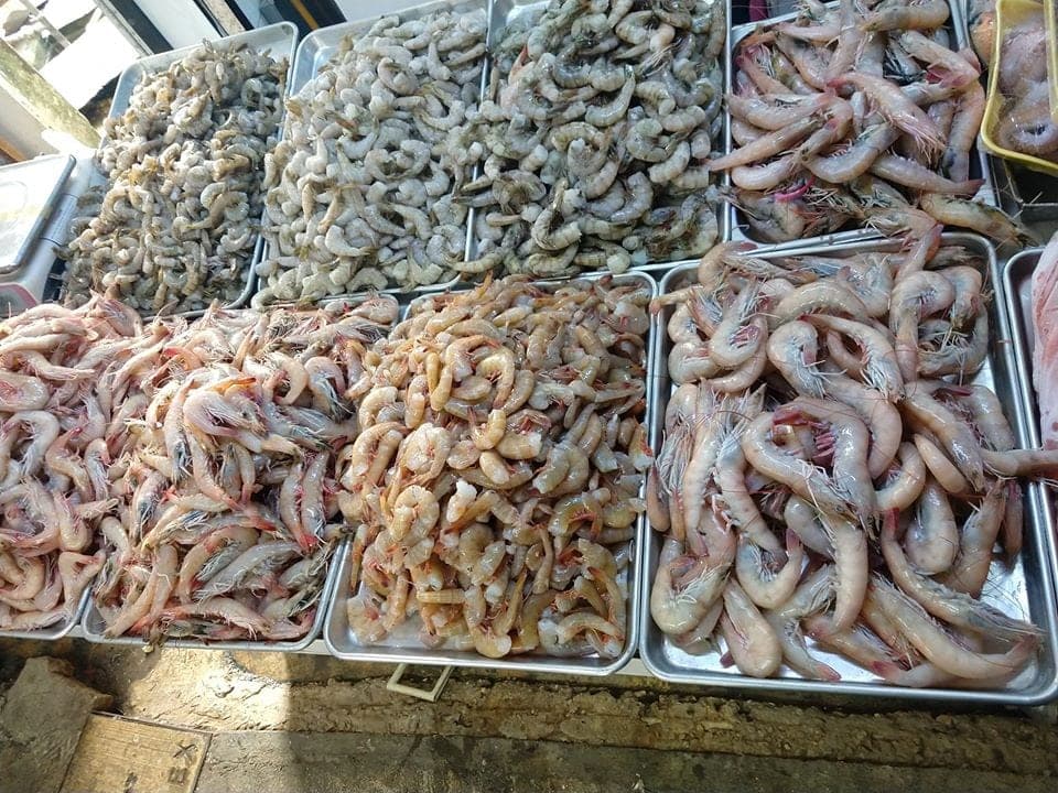 Intoxicación de comensales en restaurante de Chetumal fue por salmonella