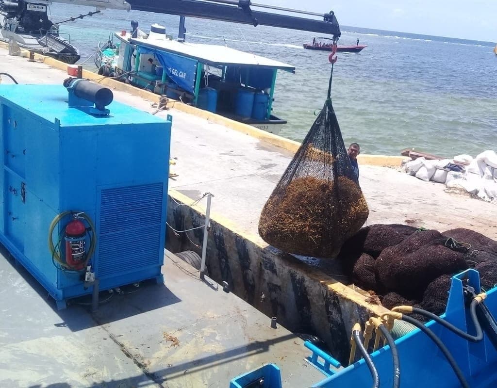 Recolecta Marina cerca de 14 mil toneladas de sargazo en Quintana Roo