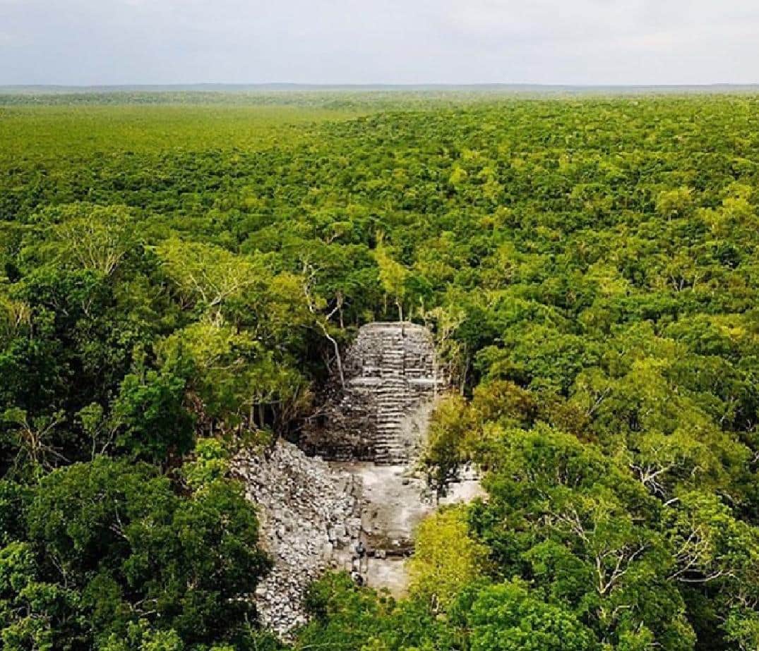Arqueólogo busca salvar antiguas ruinas mayas en riesgo