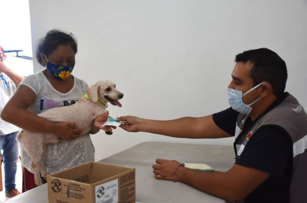 Crean Conciencia en Cancún sobre la adopción y cuidado a las mascotas
