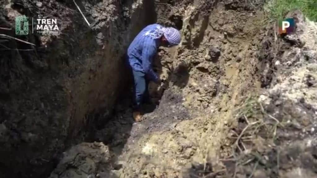 Video: Fonatur encuentra vestigios arqueológicos en ruta del Tren Maya