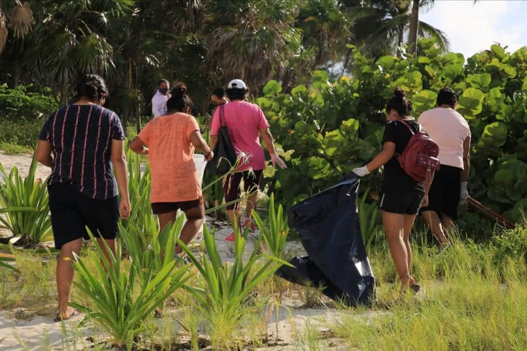 Playenses unen fuerzas para limpiar playas y cenotes en Solidaridad