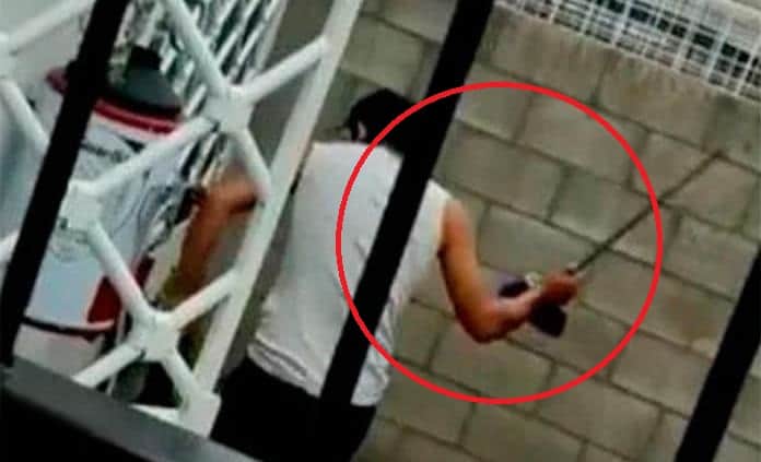 Sujeto golpea a perrito con un palo 'porque es de pelea'; video causa indignación