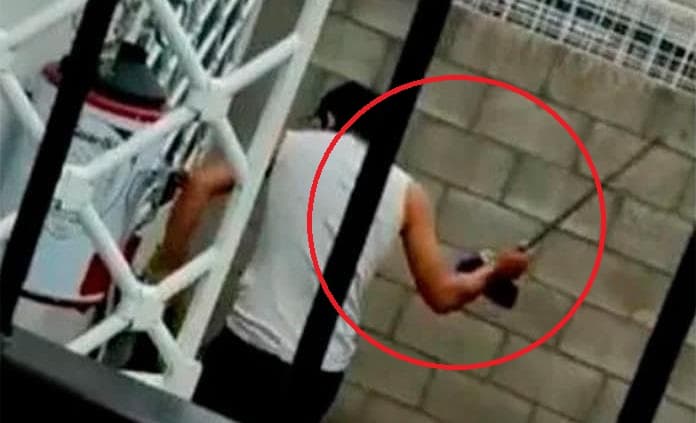 Sujeto golpea a perrito con un palo 'porque es de pelea'; video causa indignación