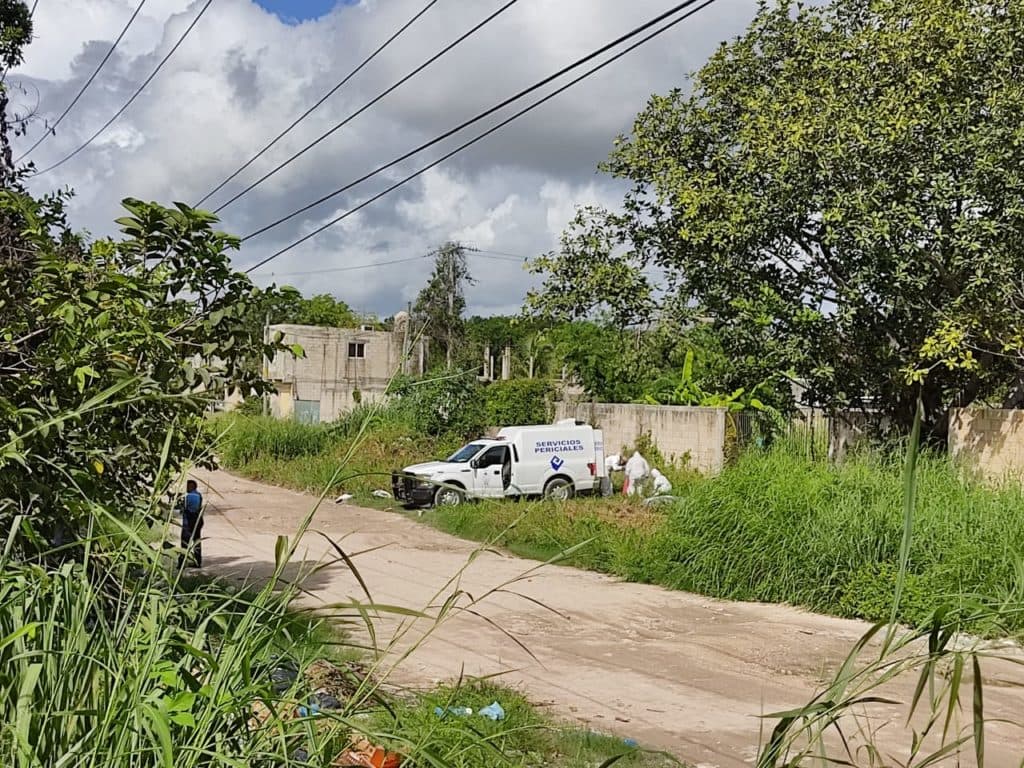 Encuentran otro ensabanado rumbo a la selva en Cancún