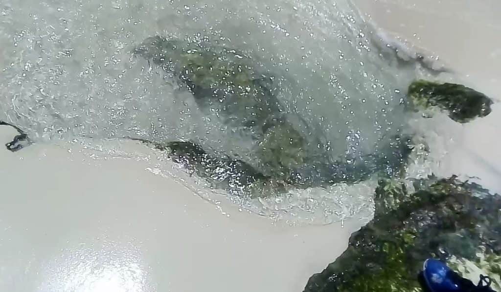 Video: Se forman tres ojos de agua en playas del centro